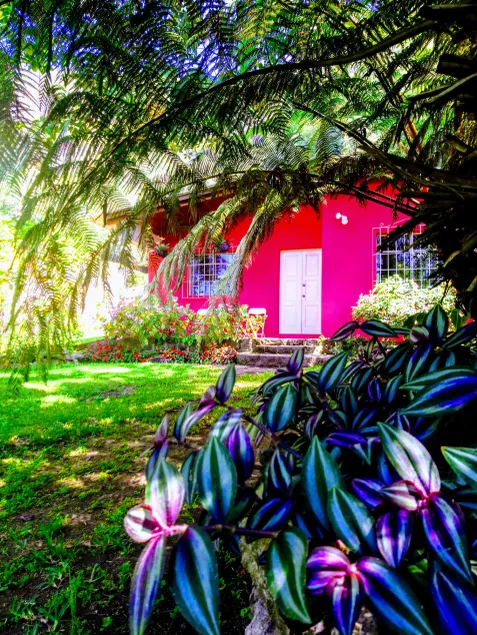 Pink house - Image 1