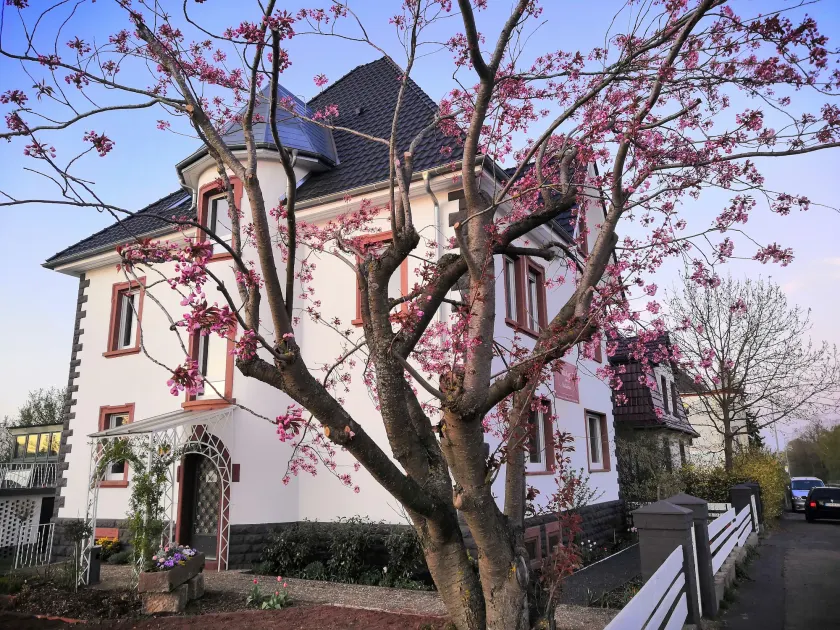 Villa Kopp-Das Gästehaus - Image 1