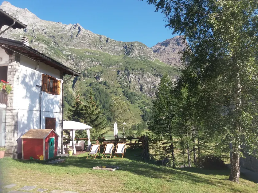 B&B Il Pino - Image 1