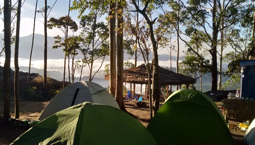 Munnar Jungle Camp - Image 1