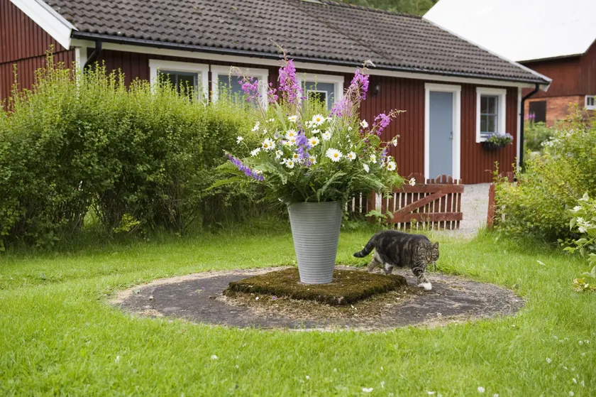 Ekologiska Fru Gran B&B i Tiveden - Image 1