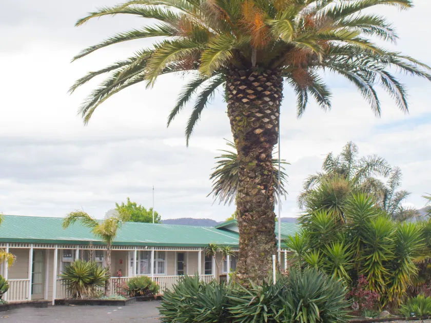 Palm Motel Waihi - Image 1