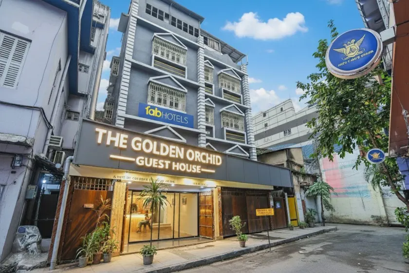 The Golden Orchid - Image 1