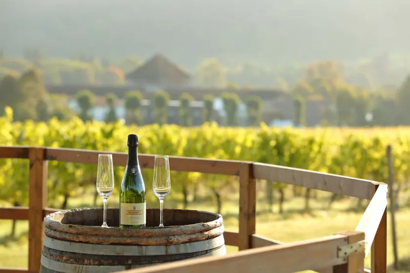 Denbies Vineyard Hotel - Image 1