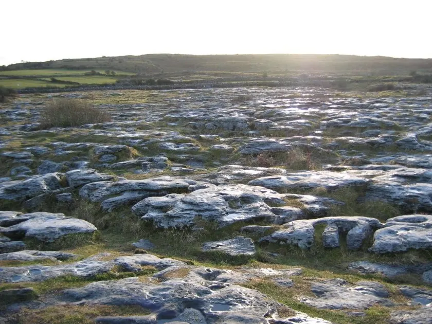Burren Way 02 - Diverse