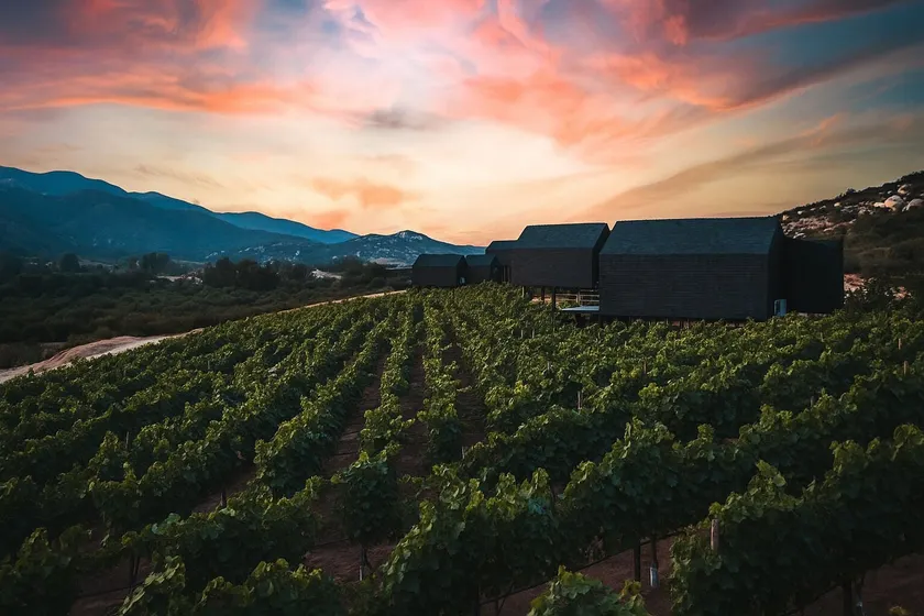 OENO WINE LODGE Valle de Guadalupe - Image 1