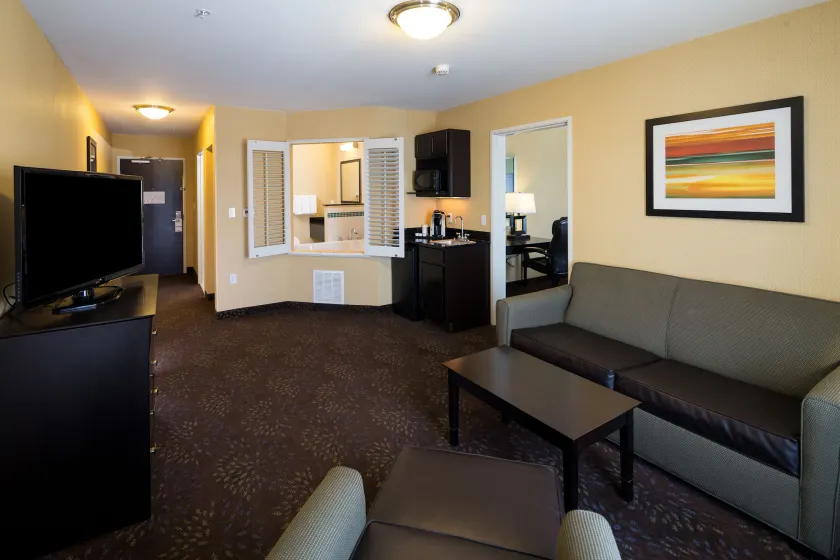 Holiday Inn Express and Suites Detroit North-Troy by IHG - Rom