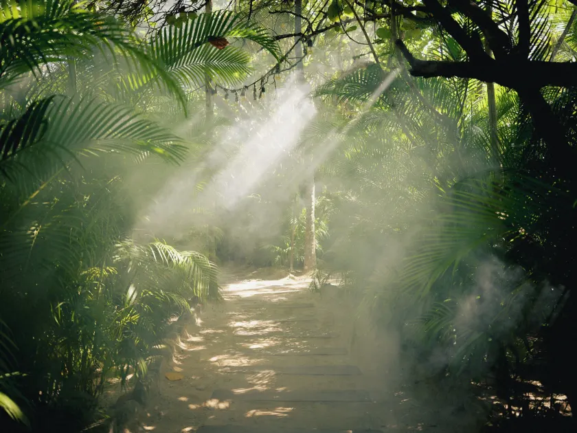 Nômade Temple Tulum - Image 1
