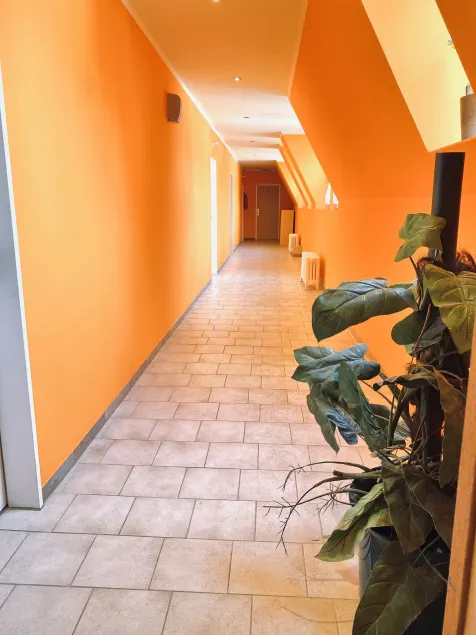 Hotel Auerhahn - Interior entrance