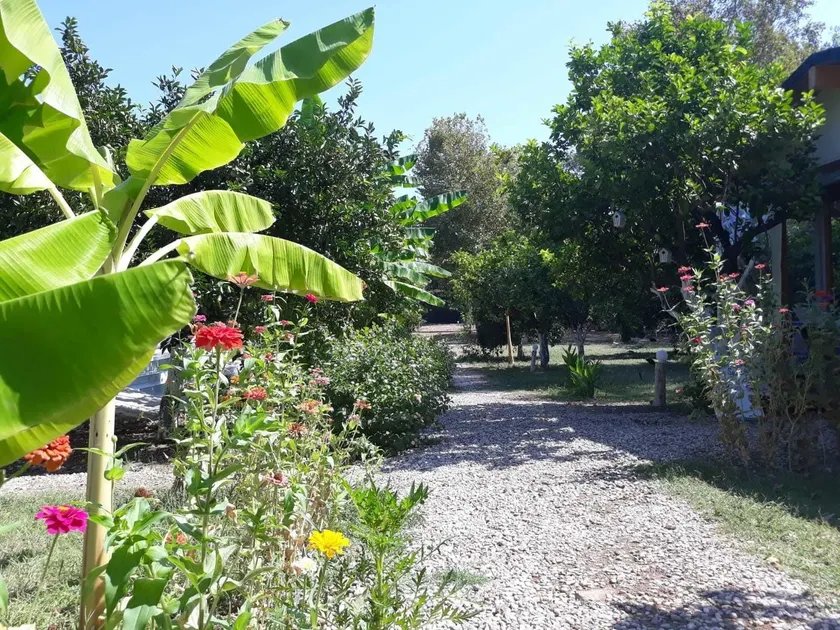 Bellerofon Beach Otel - Image 1