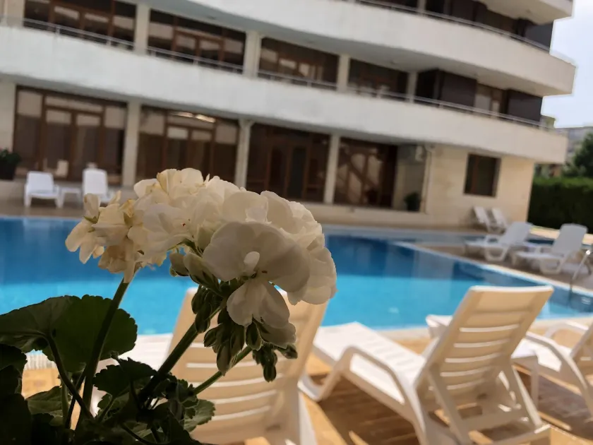 Eden - Menada Apartments - Image 1