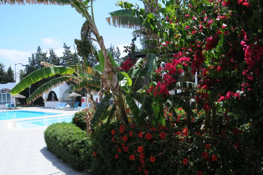 Hôtel Menara - Image 1