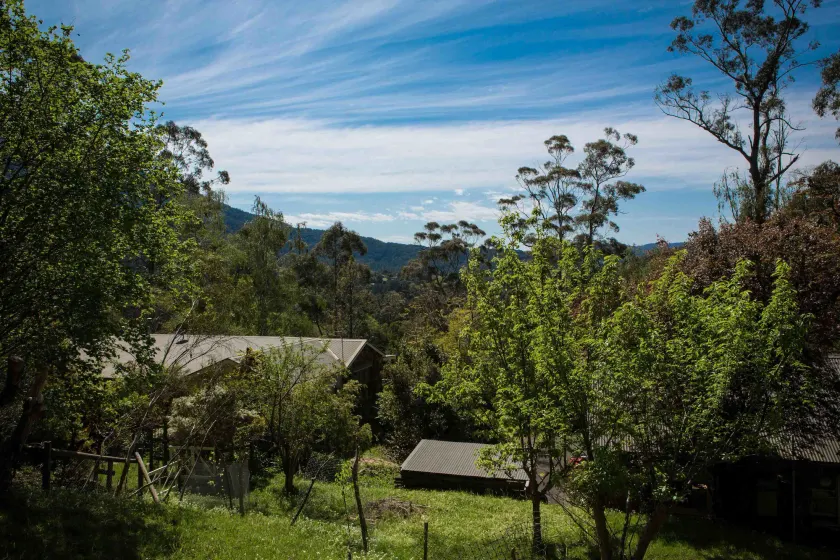 Buttercup Hill - Image 1