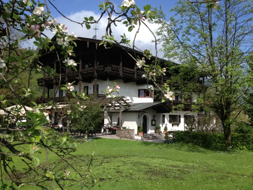 Alpenhof Landhotel Restaurant - Image 1