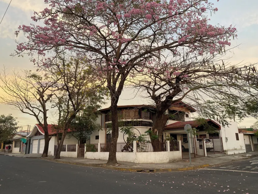 Casa Todah B&B - Image 1