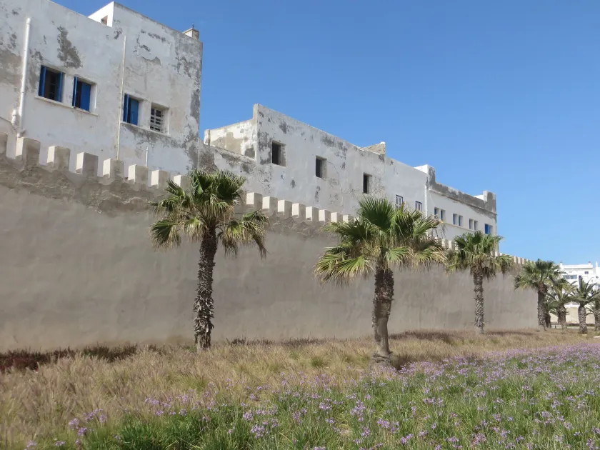 Riad Gloria - Image 1