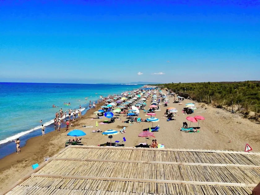 Seaside Apartment - Tuscany - Marina di Bibbona Riviera degli Etruschi - Image 1