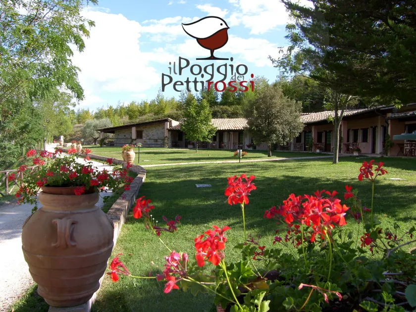 Il Poggio Dei Pettirossi - Image 1