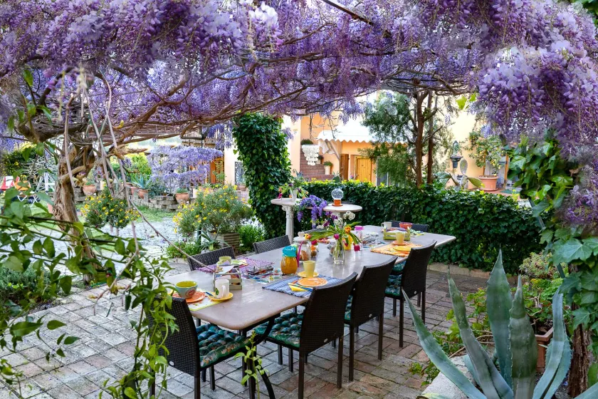 B&B Glicine - Image 1