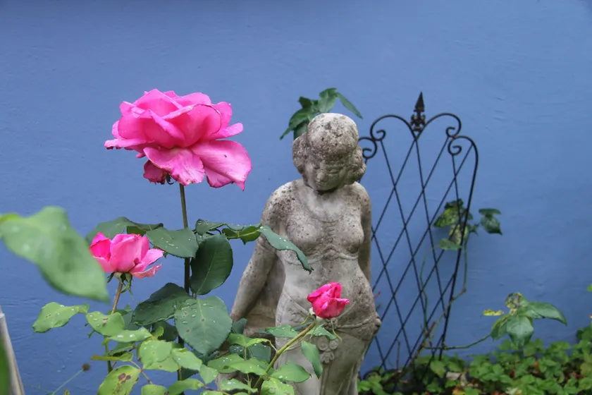 No.31 B&B im Rosengarten - Image 1
