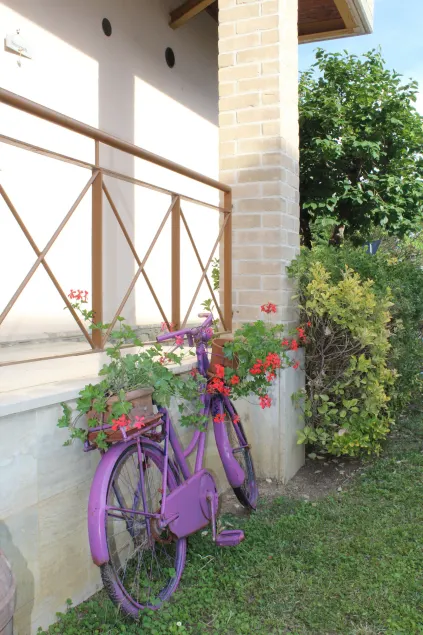 Alle Terme B&B - Image 1