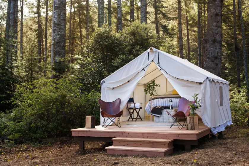 Mendocino Grove - Image 1