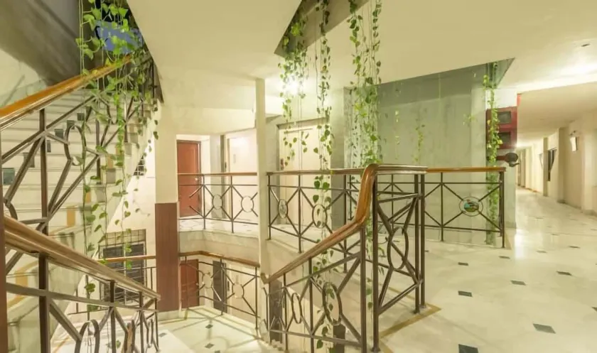 Hotel Hornbill - Receção