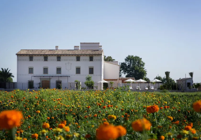 La Mozaira - Image 1