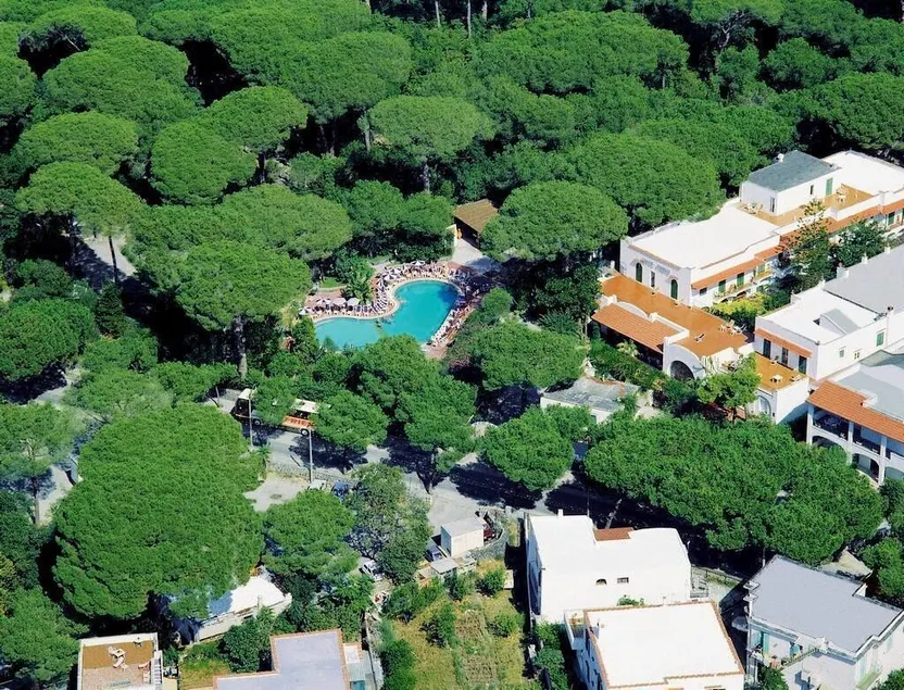 Hotel Pineta - Image 1
