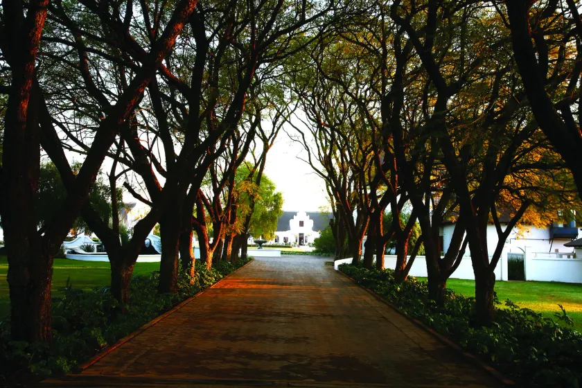 Kievits Kroon Gauteng Wine Estate - Image 1