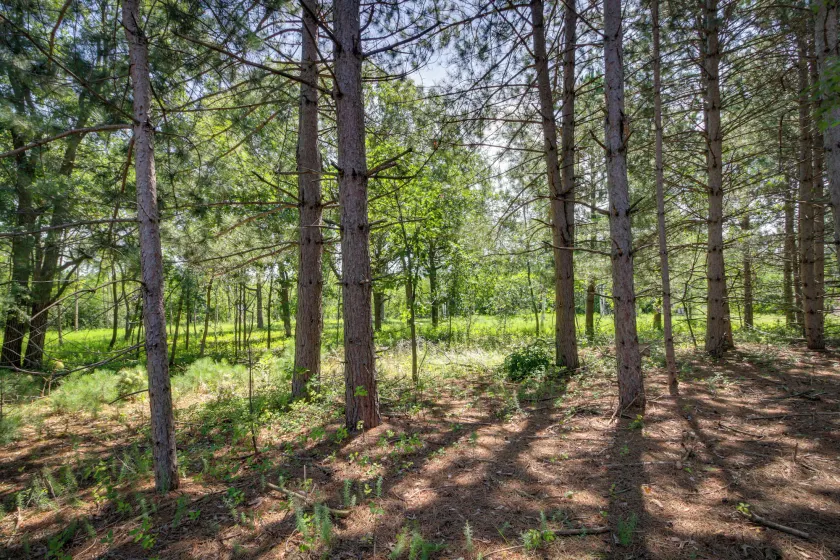 Wadena Vacation Rental ~ 1 Mi to Downtown! - Interior