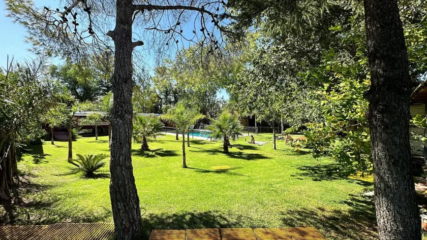 Lemon Tree Hostel - Image 1