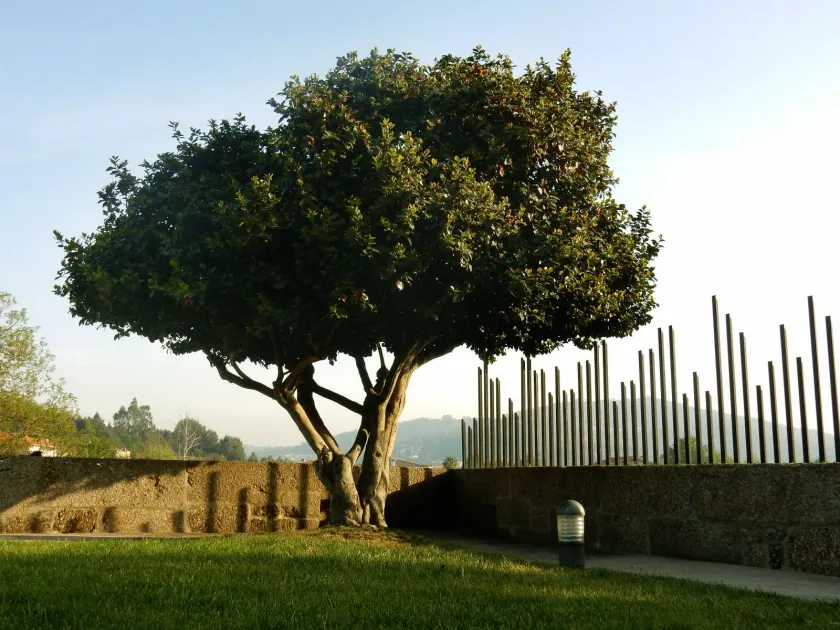 Quinta das Lavandeiras - Caldas de Vizela - Image 1