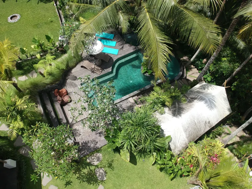 Ubud Tropical - Image 1
