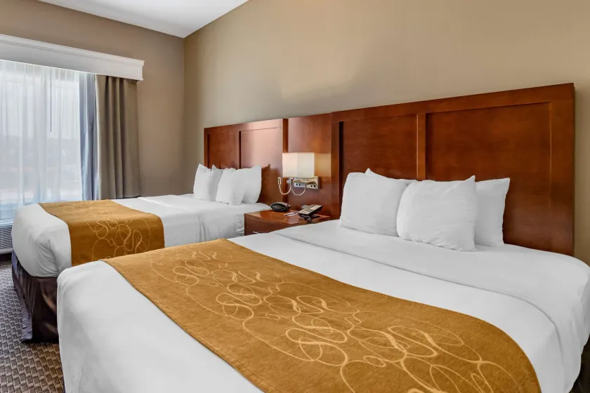 Comfort Suites Near Texas A&M - Corpus Christi - Image 1