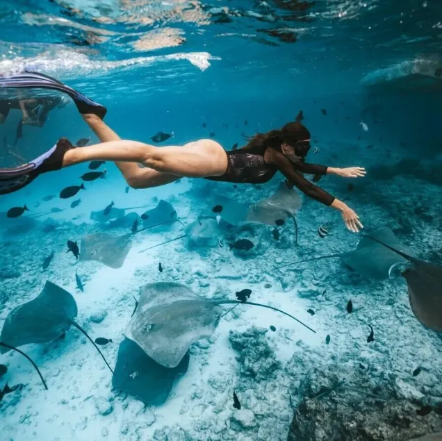 Bibee Surf - Image 1