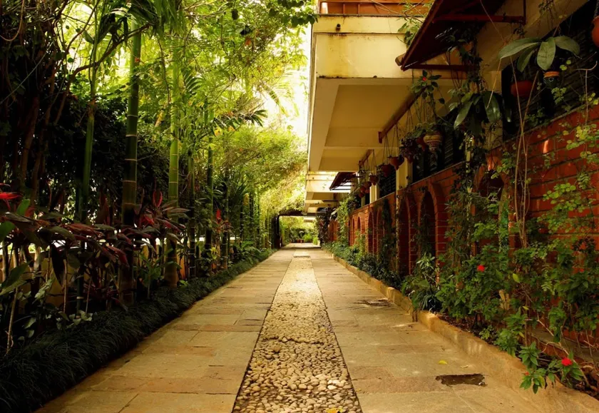 The Green Path - Image 1