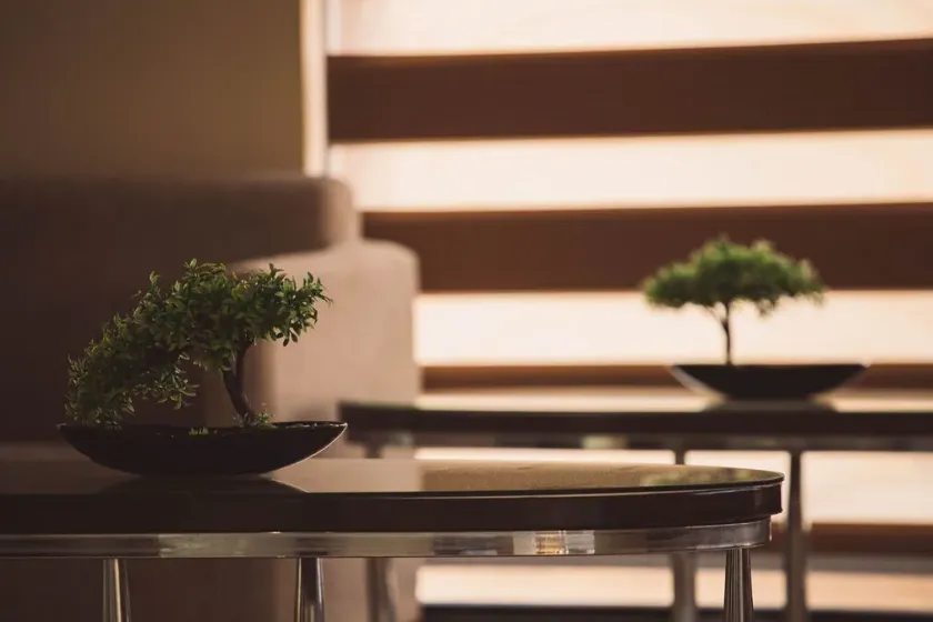 Hotel 801 - Lobby