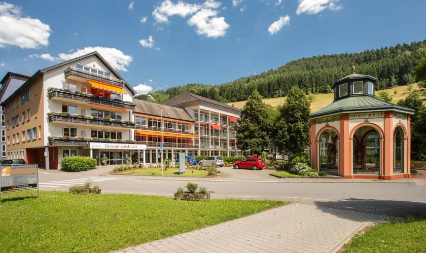 GesundheitsHotel Das Bad Peterstal - Image 1