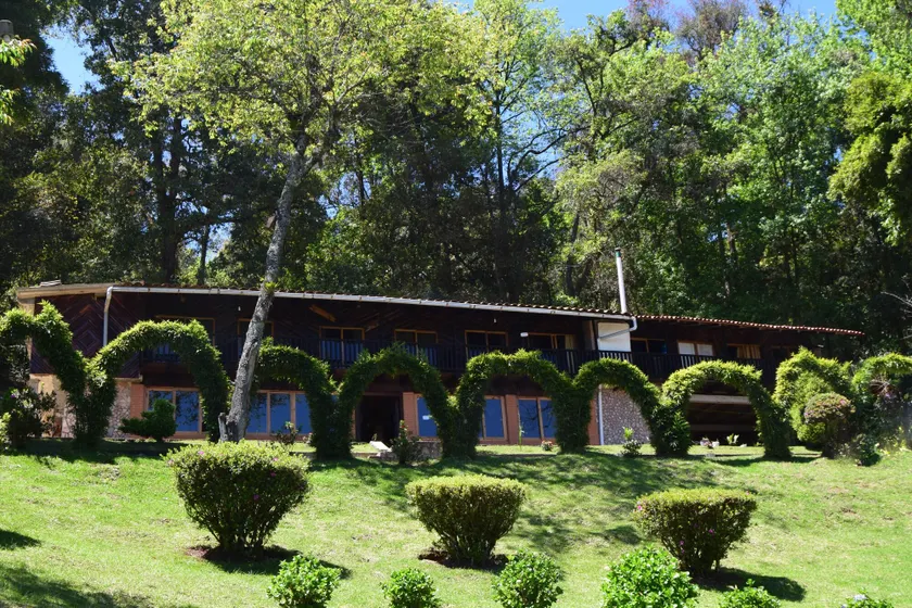 Campestre DAARLU - Image 1