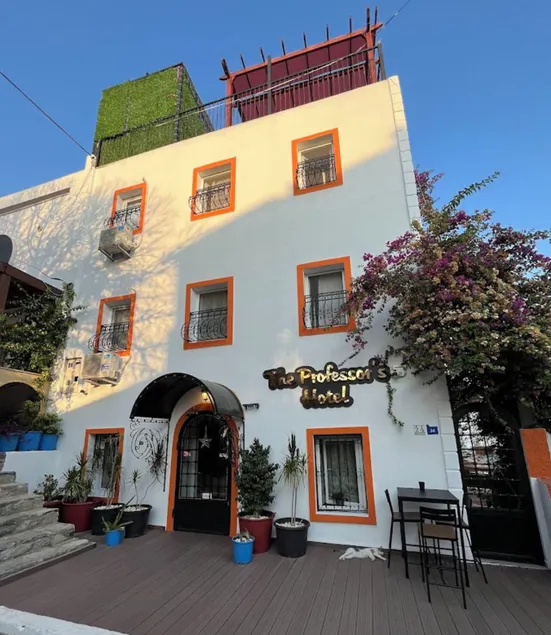 The Professor's Hotel - Image 1