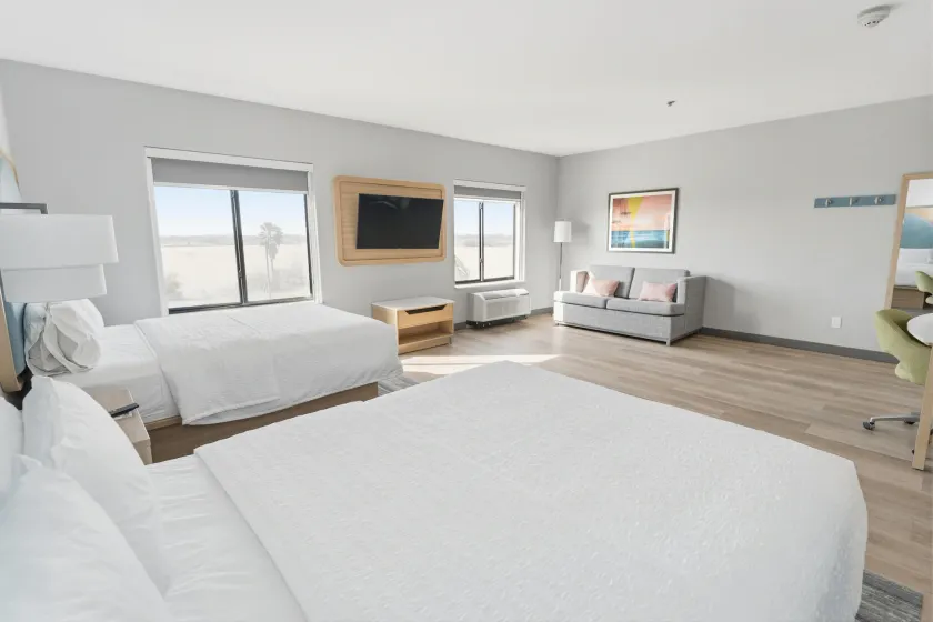 Hampton Inn & Suites Pharr - Image 1