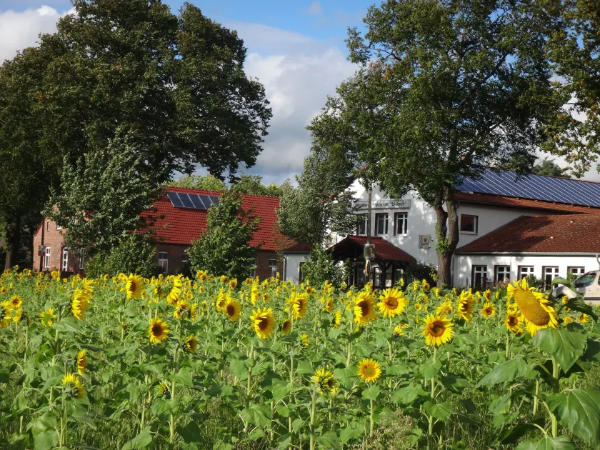 Gasthaus Wagner - Image 1