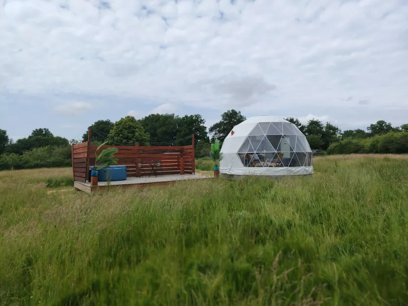 Berry Dome - Image 1