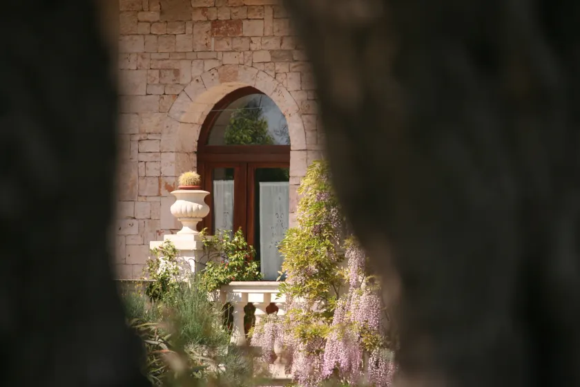 Villa Pugliese by maresolePUGLIA - Image 1