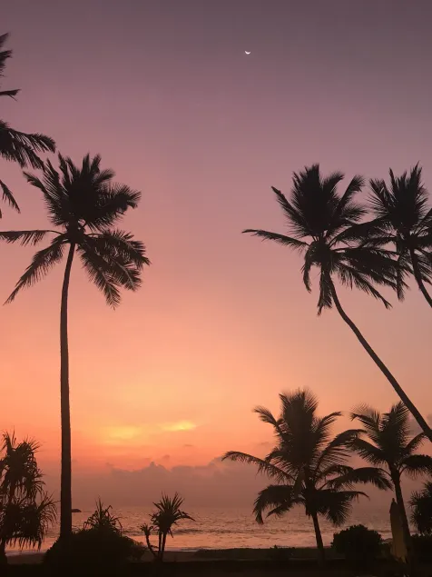 Sri Villas - Image 1