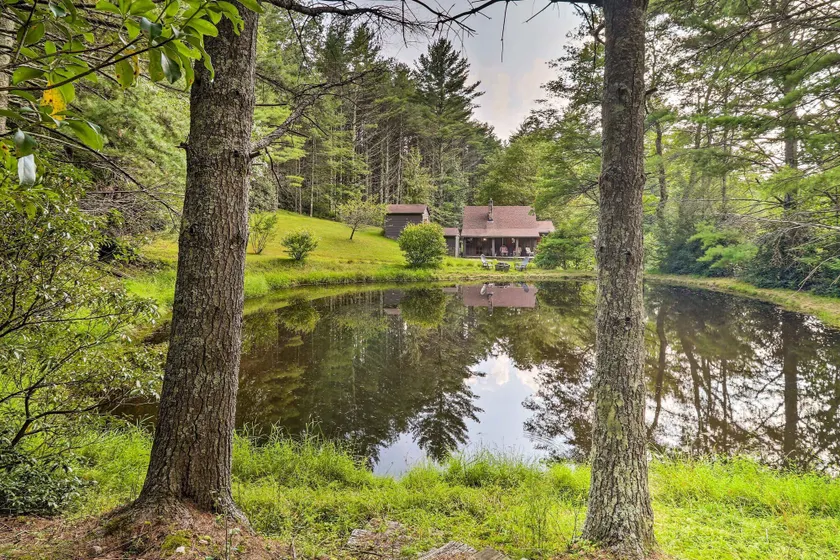 Rustic Cabin w/ Patio & Pond on Blue Ridge Parkway - Image 1
