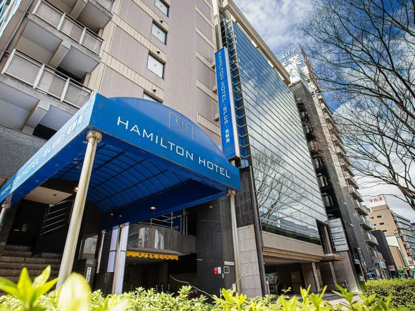Hamilton Hotel Blue - Image 1