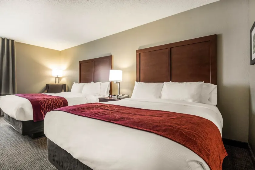 Comfort Inn Ottawa Starved Rock Area - Image 1