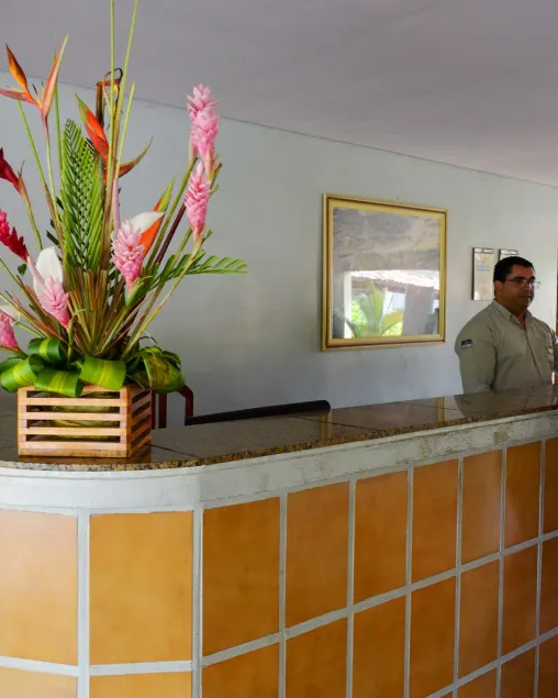 Viver Hotel Fazenda - Lobby